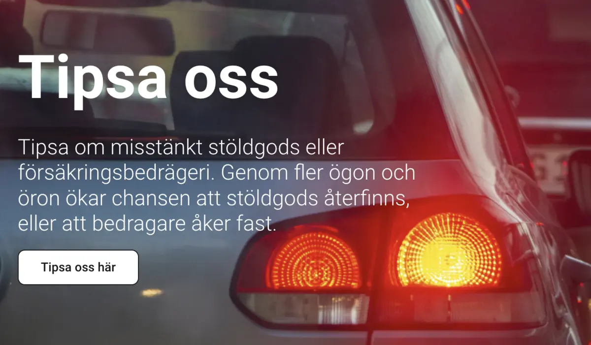 Larmtjanst-varkausrekisteritarkistus
